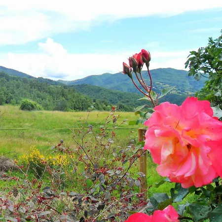 Il Giardino Di Fiorella * Rocchetta Ligure