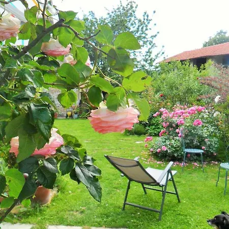 Il Giardino Di Fiorella Rocchetta Ligure