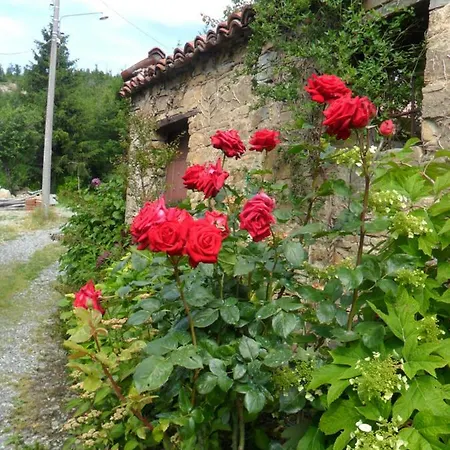 Il Giardino Di Fiorella *