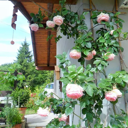Il Giardino Di Fiorella Casa vacanze *