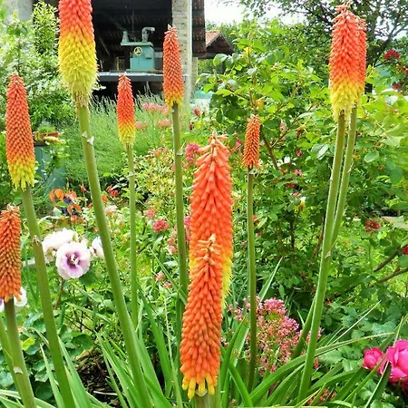 Il Giardino Di Fiorella Casa vacanze